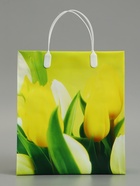 Пакет «Яркая композиция», мягкий пластик, 26×23 см, 100 мкм - Фото 2