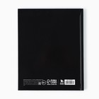 Дневник школьный 1-11 класс, универсальный, 40 л. «Знаний у меня не отнять» - Фото 6