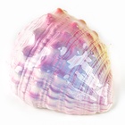 Раскопки «Морской мир», гипсовая ракушка, инструменты, 5+ - Фото 4