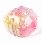 Раскопки «Морской мир», гипсовая ракушка, инструменты, 5+ - Фото 5