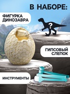 Раскопки «Диномир», гипсовое яйцо, инструменты, 5+ - Фото 3
