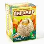 Набор для раскопок «Диномир», гипсовое яйцо, инструменты, 5+ 10243165 - фото 14428140