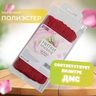 Набор ниток мулине №817, 8 ±1 м, 6 шт., цвет тёмно-кораллово-красный - Фото 2