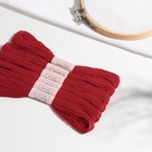 Набор ниток мулине №817, 8 ±1 м, 6 шт., цвет тёмно-кораллово-красный - Фото 4