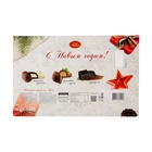 Конфеты шоколадные ассорти «Новогодний сладкий подарок от ЛюСи», 200 г - фото 119069161 Конфеты шоколадные ассорти «Новогодний сладкий подарок от ЛюСи», 200 г - фото 119069161