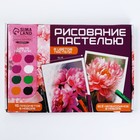 Набор для рисования масляной пастелью «Пионы», 8 цветов, набор для творчества - Фото 2