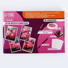 Набор для рисования масляной пастелью «Пионы», 8 цветов, набор для творчества - Фото 8