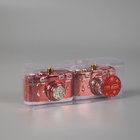 Ёлочные игрушки 2 шт. «Зимнее волшебство. Фотоаппарат» пластик, 9.5×4.5×7 см, красный - Фото 2