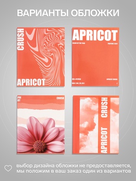Тетрадь 96 листов в клетку, Calligrata Apricot Crush, МИКС
