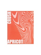 Тетрадь 96 листов в клетку, Calligrata Apricot Crush, МИКС - фото 119336136