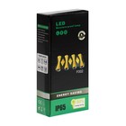 Светильник фасадный «Глосс», 8 Вт, 3000К, 4 луча, IP65, 220 В, пластиковый корпус, чёрный, свечение тёплое белое - Фото 11