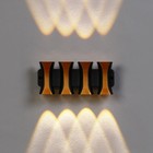 Светильник фасадный «Элегант», 8 Вт, 3000К, 4 луча, IP65, 220 В, пластиковый корпус, чёрный, свечение тёплое белое - Фото 3