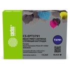 Картридж струйный Cactus CS-EPT3791 378XL черный (13.2мл) для Epson Expression Photo XP-850   107409 10740925 - фото 313131949