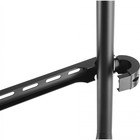 Подставка для телевизора Cactus CS-ST1247BKWN черный/орех 49"-70" макс.40кг напольный - фото 51643581 Подставка для телевизора Cactus CS-ST1247BKWN черный/орех 49"-70" макс.40кг напольный - фото 51643581