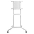 Стойка для телевизора Cactus CS-ST1146WT белый 37"-70" макс.70кг напольный мобильный - фото 51643617 Стойка для телевизора Cactus CS-ST1146WT белый 37"-70" макс.70кг напольный мобильный - фото 51643617