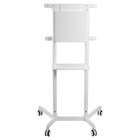 Стойка для телевизора Cactus CS-ST1146WT белый 37"-70" макс.70кг напольный мобильный - фото 51643618 Стойка для телевизора Cactus CS-ST1146WT белый 37"-70" макс.70кг напольный мобильный - фото 51643618