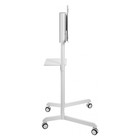 Стойка для телевизора Cactus CS-ST1146WT белый 37"-70" макс.70кг напольный мобильный - фото 51643619 Стойка для телевизора Cactus CS-ST1146WT белый 37"-70" макс.70кг напольный мобильный - фото 51643619