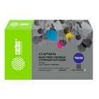 Картридж струйный Cactus CS-EPT6036 T6036 св.пурп.пигм. (220мл) для Epson Stylus PRO 7880/9   107409 - фото 51691439