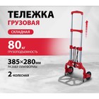 Тележка хозяйственная, грузоподъемность 80 кг, 38,5 × 28 × 97 см - Фото 1