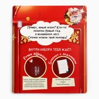 Подарочный набор новогодний, блокнот А6, 16 листов, ручка шпион «Служба секретной доставки» - Фото 6