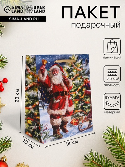 Пакет подарочный новогодний ламинированный «Санта»,18×23×10 см