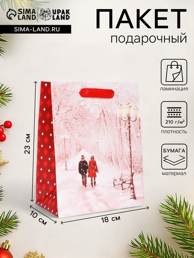 Пакет подарочный новогодний ламинированный «Парочка»,18×23×10 см
