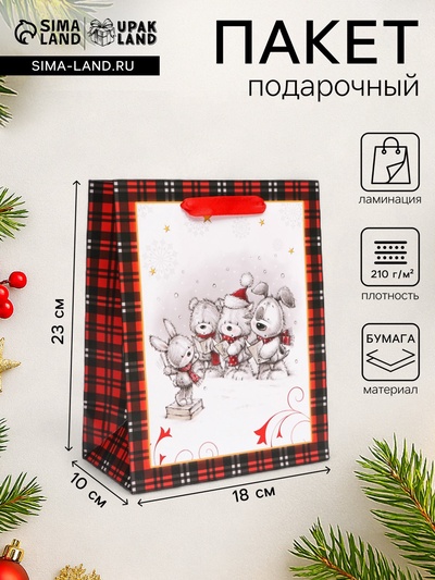 Пакет подарочный новогодний ламинированный «Друзья»,18×23×10 см