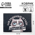 Коврик придверный "Кот", 40 х 60 см 10541726 - фото 14656603