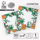 Салфетки бумажные «Новогодний аромат», однослойные, 24×24 см, 50 шт. - Фото 1