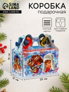 Подарочная коробка новогодняя Кормушка «Покормите птиц зимой» в синем окошко с двух сторон, 20×12×19 см - фото 117262823