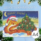 В очках