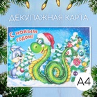 В шапке