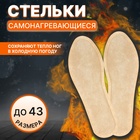 Стельки для обуви, самонагревающиеся, р-р RU до 38 (р-р Пр-ля до 43), 25 см, пара, цвет бежевый 10499799 - фото 312862451