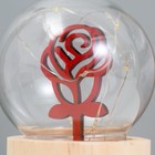 Фигурка светящаяся RISALUX «Роза», LED-ночник, 3×AG10, шар-8 см, 6.5×6.5×11.5 см - Фото 3