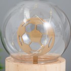 Фигурка светящаяся RISALUX «Футбольный мяч», LED-ночник, 3хAG10, шар-8 см, 6.5×6.5×11.5 см - Фото 3