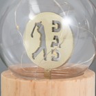 Фигурка светящаяся RISALUX «Папа», LED-ночник, 3×AG10, шар-8 см, 6.5×6.5×11.5 см - Фото 3