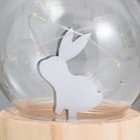 Фигурка светящаяся RISALUX «Заяц», LED-ночник, 3хAG10, шар-8 см, 6.5×6.5×11.5 см - Фото 3