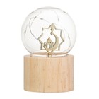 Фигурка светящаяся RISALUX «Полумесяц», LED-ночник, 3×AG10, шар-8 см, 6.5×6.5×11.5 см - Фото 5