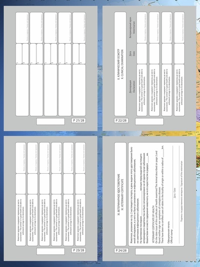 Ветеринарный паспорт международный для кошек