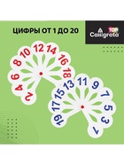 Набор веер-касс, гласные, согласные, цифры от 1 до 20, Calligrata TOP, плотные, 3 штуки, пакет с европодвесом - Фото 2