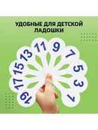 Набор веер-касс, гласные, согласные, цифры от 1 до 20, Calligrata TOP, плотные, 3 штуки, пакет с европодвесом - Фото 8