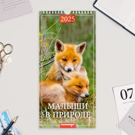 Календарь на ригеле "Малыши в природе" 2025 год, 16,5 х 34 см 10623217