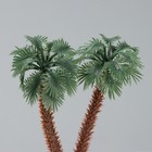 Декор для создания миниатюр (деревья) "Африканская пальма" набор 2 шт 11 см - фото 25458335