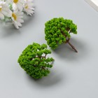Искусственное растение для творчества пластик "Зелёное дерево" набор 2 шт 6 см - фото 25458344
