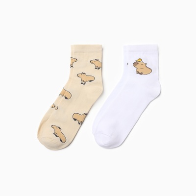 Носки женские KAFTAN «Капибара», набор 2 пары, размер 36-40 (23-25 см)