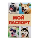 Ветеринарный паспорт международный для собак - Фото 1