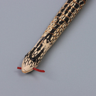 Деревянная игрушка «Змея», 50×1.6×1.6 см МИКС - Фото 4