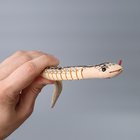 Деревянная игрушка «Змея», 50×1.6×1.6 см МИКС - Фото 6