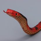 Деревянная игрушка «Змея Кобра», 60×2×2 см - Фото 3