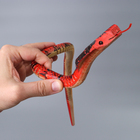 Деревянная игрушка «Змея Кобра», 60×2×2 см - Фото 5